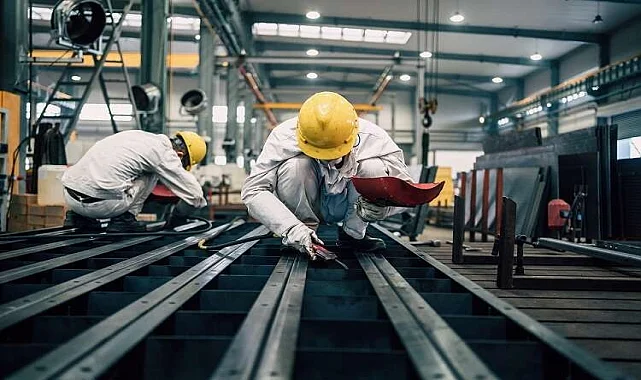 Beypazarı Kertenkele İlaçlama